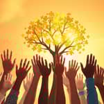 Philanthropic Foundations: Structuring Your Giving Impact